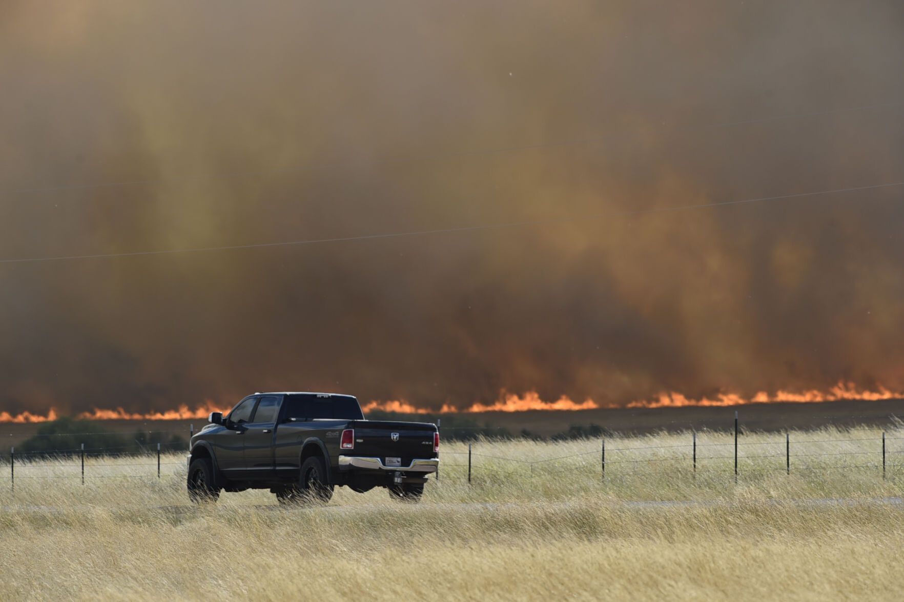 Birdseye Grass Fire